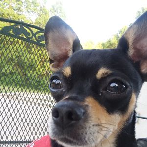 Meet your Posher, Charles